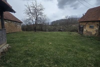 Casă cu Teren 1000 Mp în Stoieneasa - 3