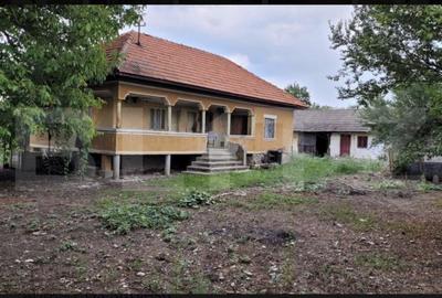 Casă cu 3 camere cu Teren 6869 Mp în Central - 2
