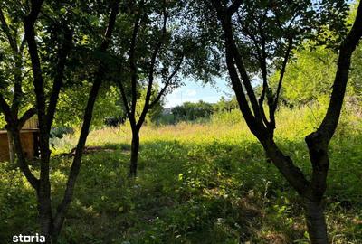 Teren de 2540 mp, în Valea Adâncă - 8