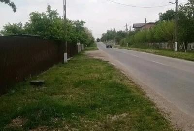 Teren de 700 mp, în Băcălești