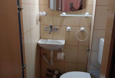 Apartament cu 3 camere decomandat în Nufărul - 6