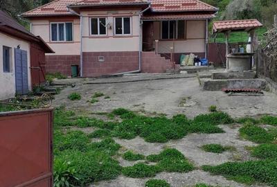 Casă cu 3 camere în Vad