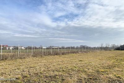 Teren Construcții intravilan de 2409 mp, în Afumați - 6