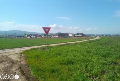 Teren Construcții intravilan de 5000 mp, în Holboca - 4