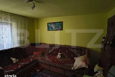 Casă cu 4 camere decomandat cu Teren 2000 Mp în Leu - 13