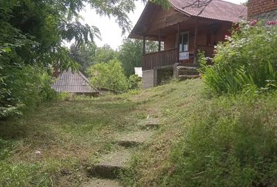 Casă cu Teren 800 Mp în Domnești - 1