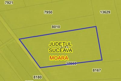 Teren de 6500 mp, în Central - 1