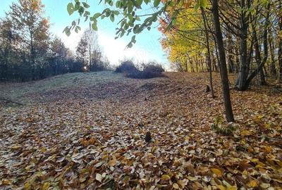 Teren de 8800 mp, în Băiculești - 3