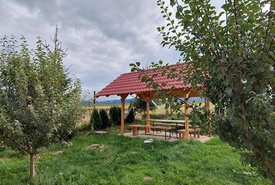 Casă cu 6 camere cu Teren 420 Mp în Paltin - 4