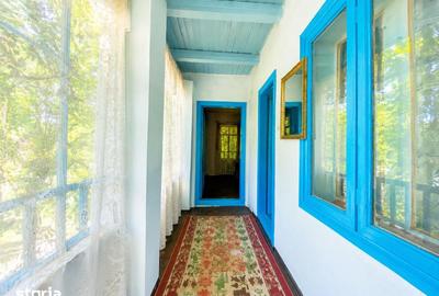 Casă cu 3 camere cu Teren 3000 Mp în Podu Roș - 9