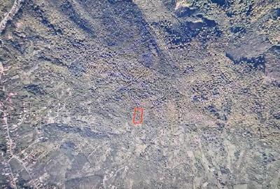Teren de 8000 mp, în Central