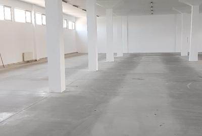 Spațiu industrial, de 932 mp, în Zona Industrială - 1