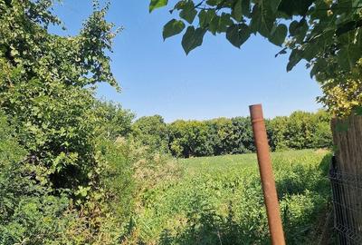 Teren de 5100 mp, în Pătlăgeanca