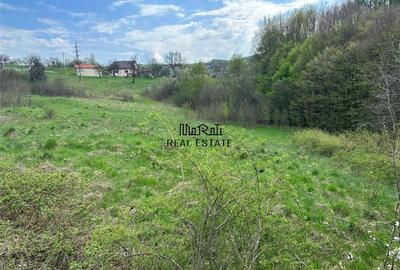 Teren de 3415 mp, în Luncoiu de Sus - 6