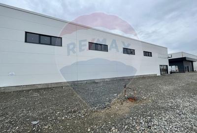 Spațiu industrial, de 600 mp, în Ghercești - 3