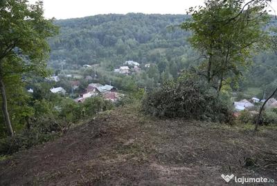 Teren de 2700 mp, în Telega - 10