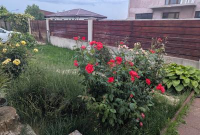 Casă individuală cu 2 camere cu Canalizare în Săbăreni - 13