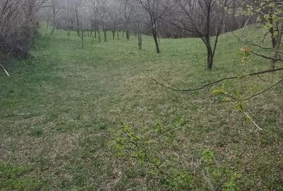 Teren de 2600 mp, în Izvoarele - 7