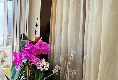 Apartament cu 2 camere decomandat, mobilat în Precista - 13