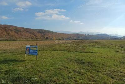 Teren de 10000 mp, în Tălmaciu - 2