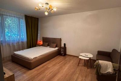 Garsonieră decomandată în Valea Ialomiței - 4