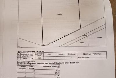 Teren de 1000 mp, în Săldăbagiu de Munte