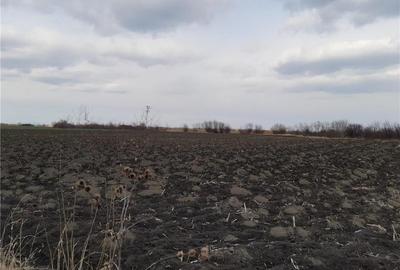 Teren de 9000 mp, în Braniștea - 5