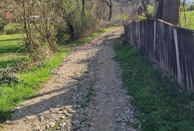Casă individuală cu 2 camere cu Teren 13000 Mp în Tomești - 4