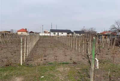 Teren de 928 mp, în Central - 3