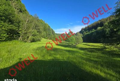 Teren de 57000 mp, în Vama Buzăului - 4