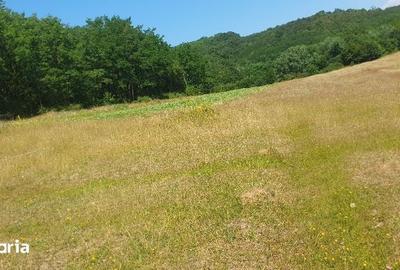 Teren de 7200 mp, în Someș-Odorhei - 2