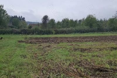 Teren de 1500 mp, în Sălciva - 2