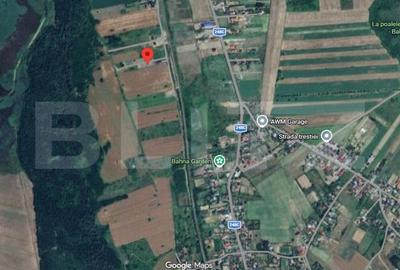 Teren Construcții intravilan de 700 mp, în Ciurea