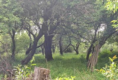 Teren de 4236 mp, în Cotenești - 4