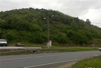 Teren de 46000 mp, în Radna - 3