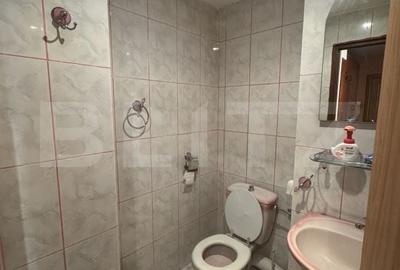 Apartament cu 3 camere decomandat în George Enescu - 4