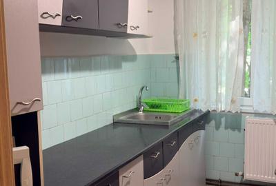 Apartament cu 2 camere semidecomandat în Tătărași - 9