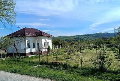 Casă cu Teren 1500 Mp în Crâmpotani - 2