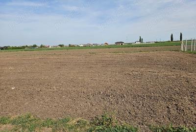 Teren de 994 mp, în Covaci - 1