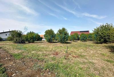 Teren Construcții de 934 mp, în Oncea - 1