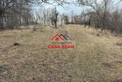 Teren Construcții intravilan de 3074 mp, în Cornu de Jos (Cornu) - 5