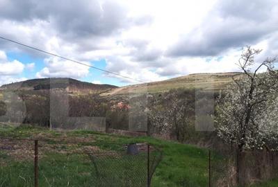 Teren de 800 mp, în Ciurila - 4