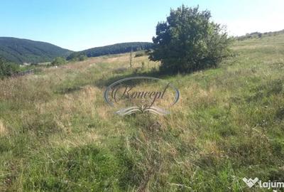 Teren de 908 mp, în Sălicea - 1