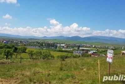 Teren de 5200 mp, în Central - 4