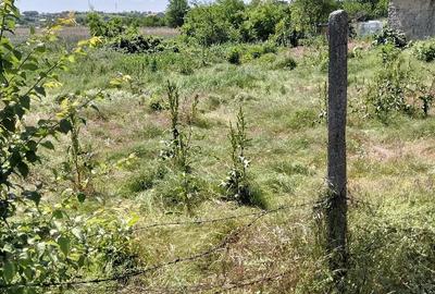 Casă cu Teren 370 Mp în Central