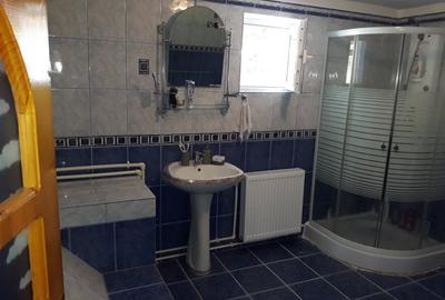 Casă cu 4 camere cu Teren 4500 Mp în Dragodana - 7