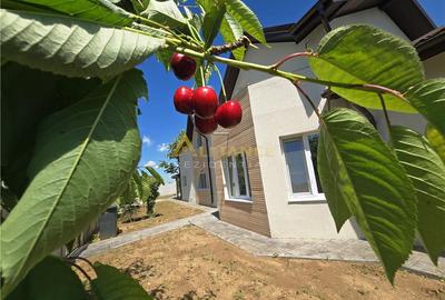 Casă cu 6 camere cu Teren 400 Mp în Berceni - 2