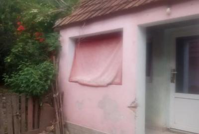 Casă cu 2 camere în Odvoș - 4