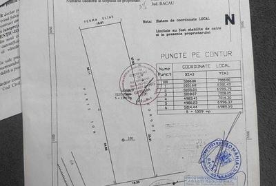 Teren de 1350 mp, în Sascut - 7