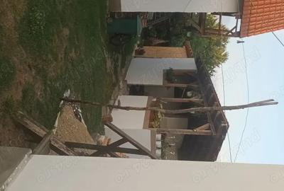 Casă cu 5 camere în Olanu - 1